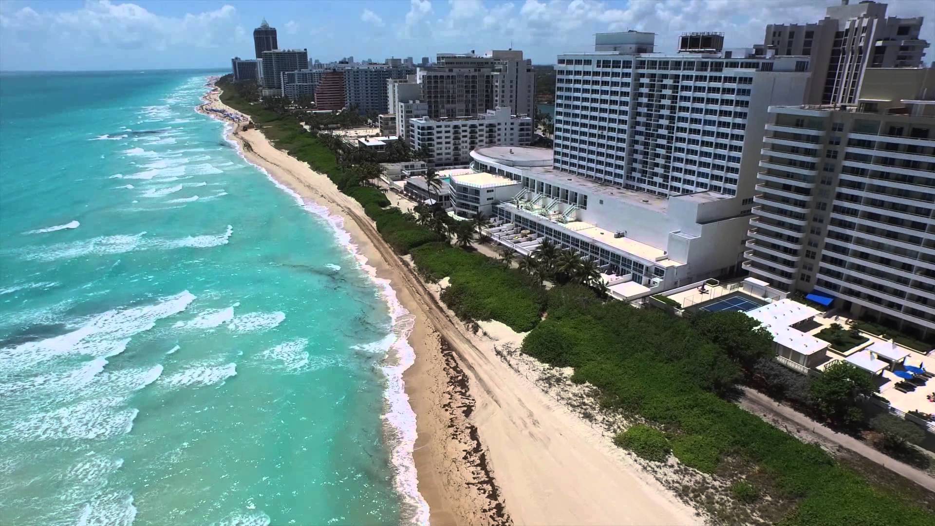 Miami Scorts