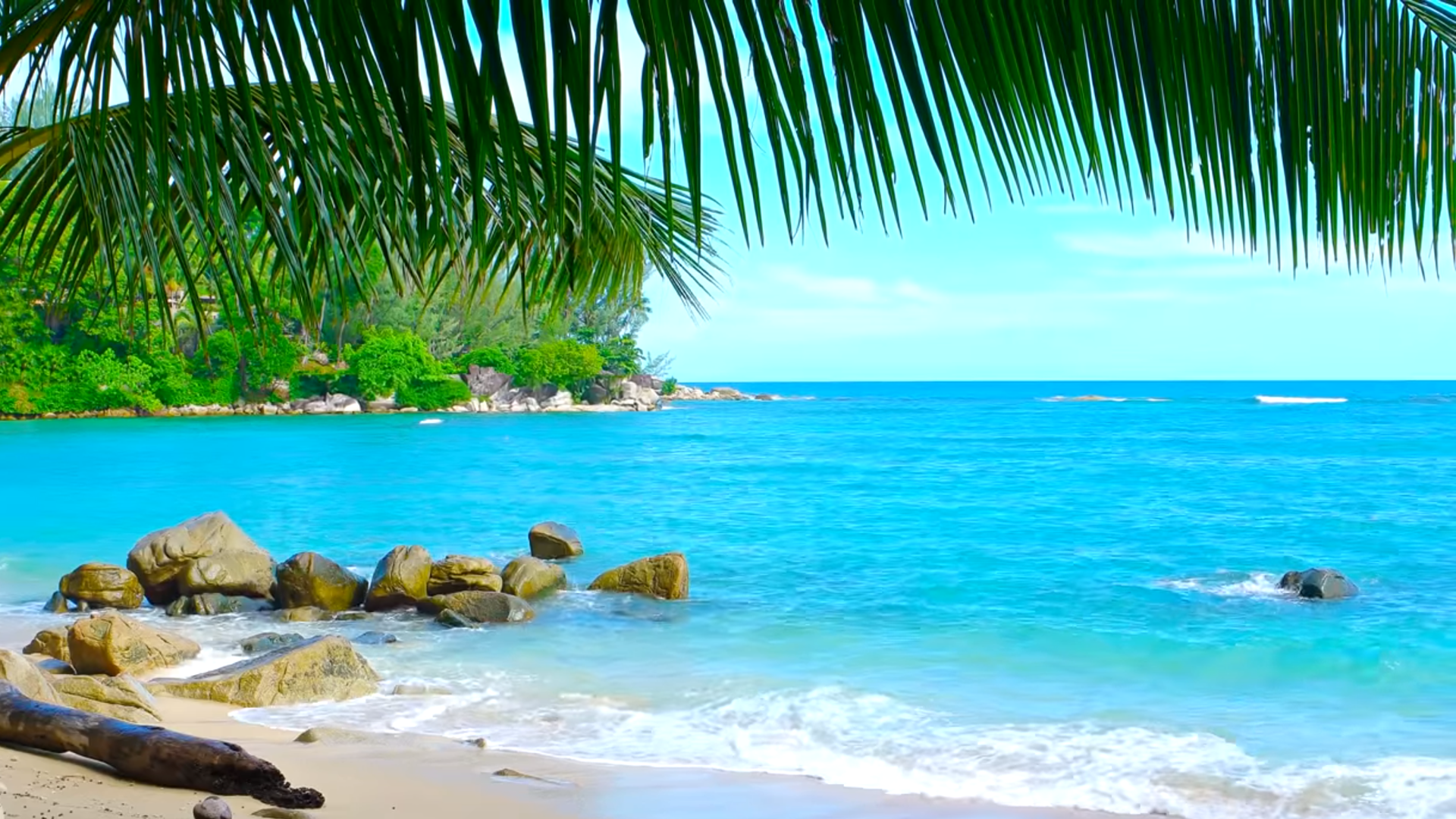 10 Best Tropical  Beaches  You Must Visit in Your Lifetime 