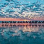 Cable Beachaddtobucketlist