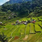 Ifugao Rice Terraces