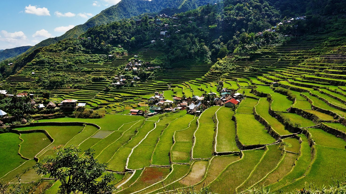 Bentong Filipino