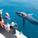 The Great Barrier Reefaddtobucketlist