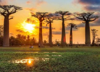 10 Upcoming Destinations That You Should Visit Immediately