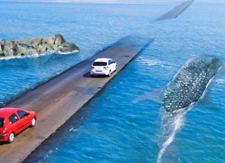 15 Most Dangerous Roads on the Planet