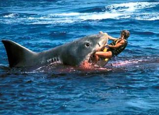 The Planet’s Most Dangerous Beaches