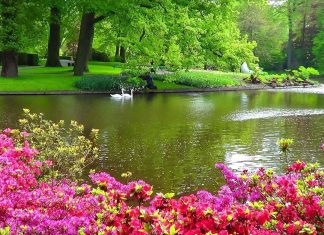 Top 10 Most Beautiful Gardens In The Entire World