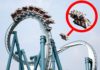 5 Deadly Amusement Park Disasters