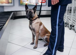 New Air Travel Rules You Need To Know