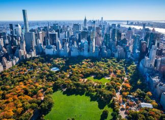 Top 18 Things to Do in NYC