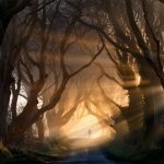 amazing-tree-tunnels-9-1