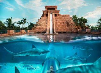 14 Of The World’s Coolest Water Slides