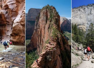 15 Best Day Hikes In The USA For Your Bucket List