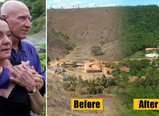 Amazing How This Brazilian Couple Restored 2 Million Trees in 20 Years after Forest Destruction; Even Animals Have Returned