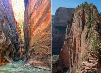 13 Super Things To Do In Zion National Park