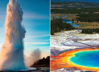 15 Best things to do and see in Yellowstone National Park