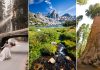 15 Great Things to do in Sequoia National Park and Kings Canyon National Park