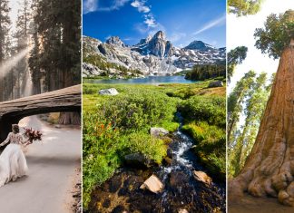 15 Great Things to do in Sequoia National Park and Kings Canyon National Park