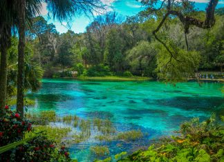 These 12 State Parks Will Make You Love Florida