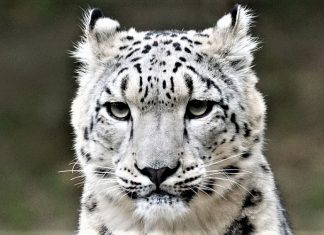 23 Big Bucket List Travel Adventures travel