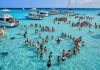 The 15 Best Things to Do In The Cayman Islands