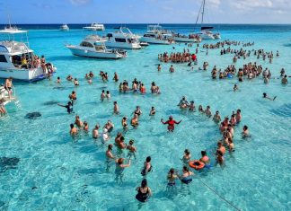 The 15 Best Things to Do In The Cayman Islands