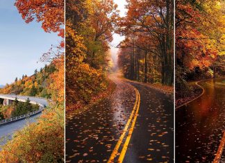 14 Fall Road Trip Destinations For Stunning Scenery In The United States