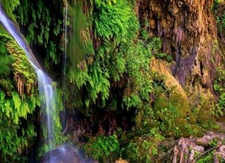 The 9 Best Road Trip Destinations From Austin, Texas Austin