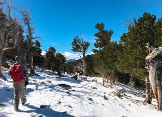 America’s Best, Beautiful Winter Hikes