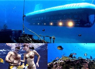 18 exciting underwater adventures underwater