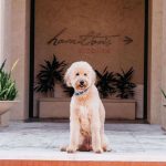 19. Alfond Inn