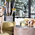 2 Image courtesy of Limelight Hotel Ketchum