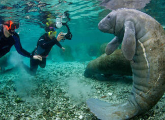 10 Unexpected Places in the USA for Wildlife Lovers