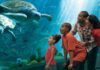 25 Very Best Aquariums in the USA to Visit This Year