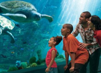 25 Very Best Aquariums in the USA to Visit This Year