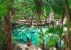 Mexico’s Cenotes: The Yucatan’s Hidden Gems