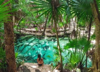 Mexico’s Cenotes: The Yucatan’s Hidden Gems