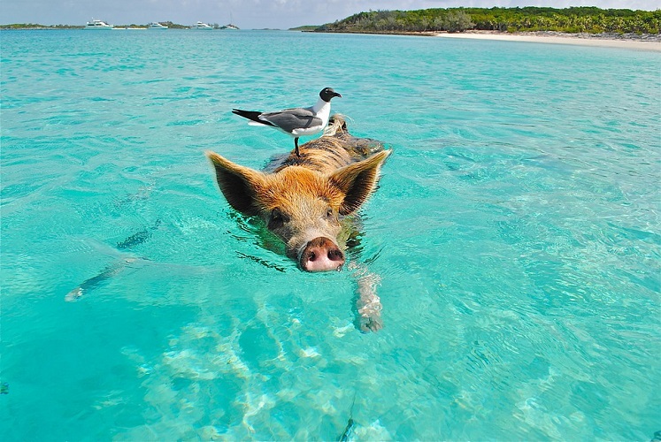 Beaches With the Clearest Water