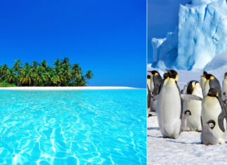 See These Natural Wonders in 2022, Before It’s Too Late