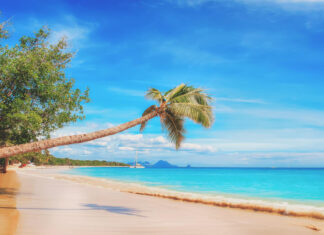 19 Incredible Things To Do In The Caribbean