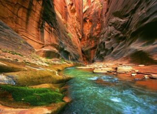 Hiking The Narrows At Zion National Park