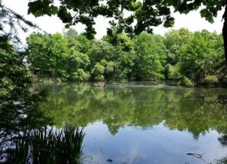 The 17 Very Best Day Trips From Houston Houston