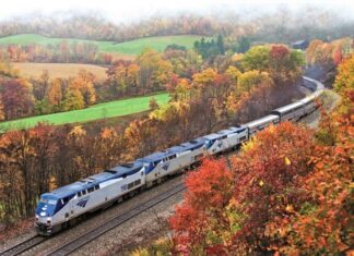 The 12 Best Fall Foliage Train Rides In The USA train