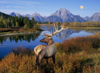 Grand Teton Hikes You Should Not Miss