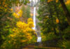 11 Waterfall Hikes In Oregon That Will Steal Your Breath Away