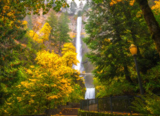 11 Waterfall Hikes In Oregon That Will Steal Your Breath Away