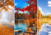 The Best National Parks For Fall Foliage And When To Go
