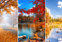 The Best National Parks For Fall Foliage And When To Go