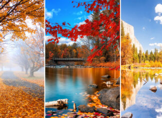The Best National Parks For Fall Foliage And When To Go