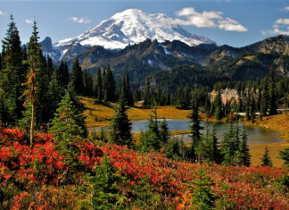 15 Truly Epic Hikes in Mount Rainier National Park