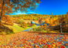 The 15 Best Small Towns In The U.S. For Fall Foliage